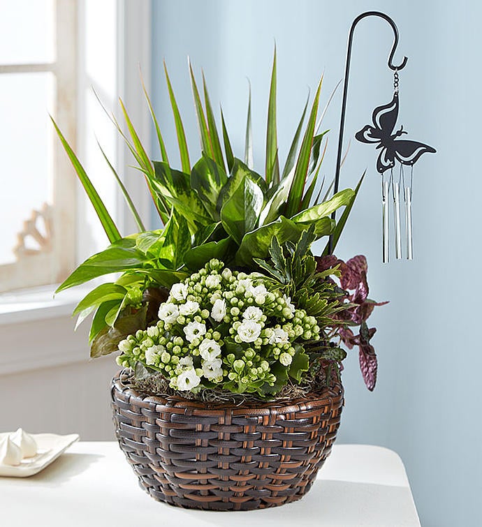 Butterfly Chime Sympathy Dish Garden
